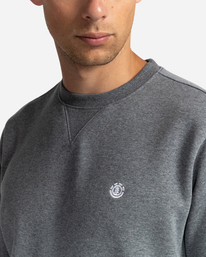 3 Cornell Classic - Sweatshirt Gray W1CRB5ELP1 Element