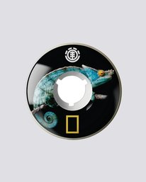 NAT GEO IGUANA 62MM  WHLG1NGF