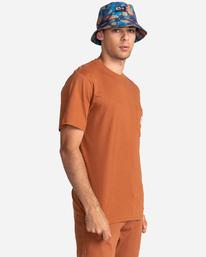 1 Basic Label 2022 - Kurzärmeliges T-Shirt Braun Z1SSI1ELF1 Element