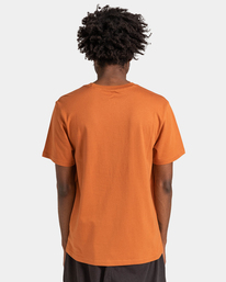 6 Vertical 2022 - T-shirt pour Homme Marron Z1SSI4ELF1 Element