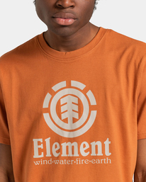 4 Vertical 2022 - T-shirt pour Homme Marron Z1SSI4ELF1 Element