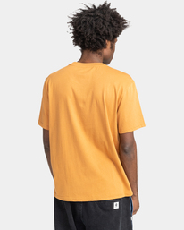 5 Vertical 2022 - T-shirt pour Homme Marron Z1SSI4ELF1 Element