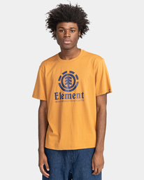 2 Vertical 2022 - T-shirt pour Homme Marron Z1SSI4ELF1 Element