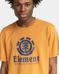 3 Vertical 2022 - T-shirt pour Homme Marron Z1SSI4ELF1 Element