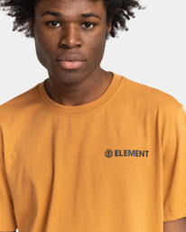 3 Blazin Chest - T-Shirt für Männer Braun Z1SSI6ELF1 Element