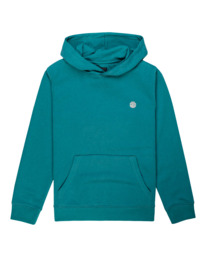 0 Cornell Classic - Kapuzenpullover für Kinder Grün Z2HOC1ELF1 Element