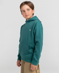 3 Cornell Classic - Sweat à capuche pour Enfant Vert Z2HOC1ELF1 Element