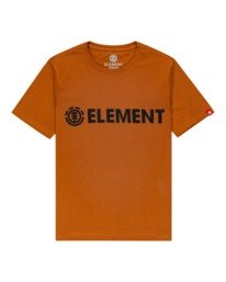 0 Blazin - T-shirt pour Garçon  Z2SSC9ELF1 Element