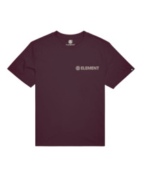 Blazin Chest - T-Shirt for Boys  Z2SSD1ELF1