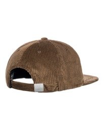 2 Pool - Strapback Cap for Men Brown Z5CTD2ELF1 Element