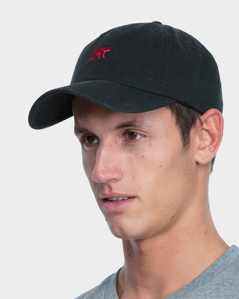 3 CA BEAR CAP  163608 Element