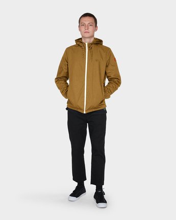 4 Alder  176456 Element