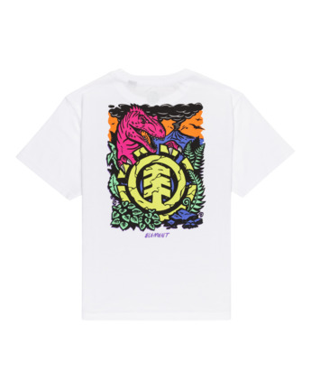 Element Jurassic T-Shirt Garçon 8-16 Ans - T-Shirt Coton Col Rond Imprimé Dinosaure