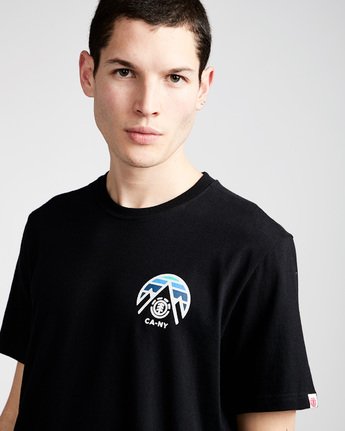 1 Tri Tip Ss - Tee Shirt for Men  F1SSC3ELF7 Element