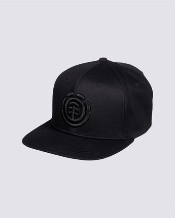 mens skate caps