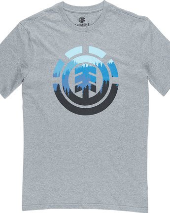 4 Glimpse Icon Ss - Tee Shirt for Men Gray N1SSA4ELP9 Element