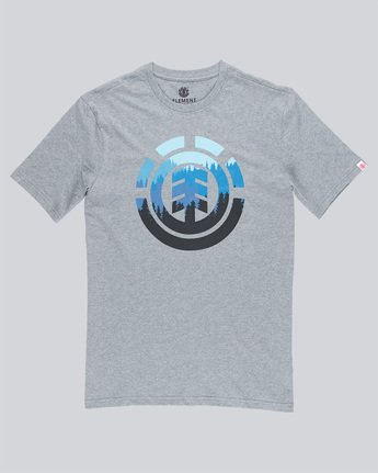 3 Glimpse Icon Ss - Tee Shirt for Men Gray N1SSA4ELP9 Element