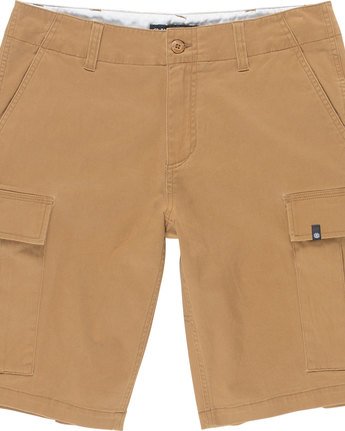 5 Legion Cargo 21" - Shorts for Men Brown N1WKA3ELP9 Element