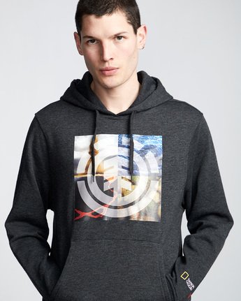 1 Quadrant Seasons - Hoodie Gray Q1HOB9ELF9 Element