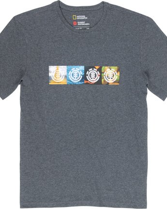 4 Horizontal Seasons - T-Shirt Gray Q1SSG2ELF9 Element