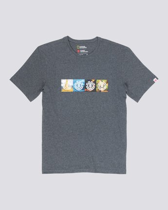 3 Horizontal Seasons - T-Shirt Gray Q1SSG2ELF9 Element