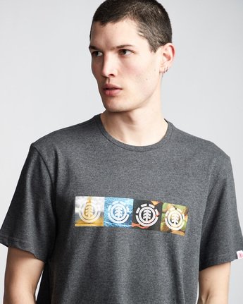 1 Horizontal Seasons - T-Shirt Gray Q1SSG2ELF9 Element