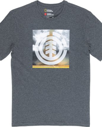 4 Combust Icon - T-Shirt Gray Q1SSG7ELF9 Element