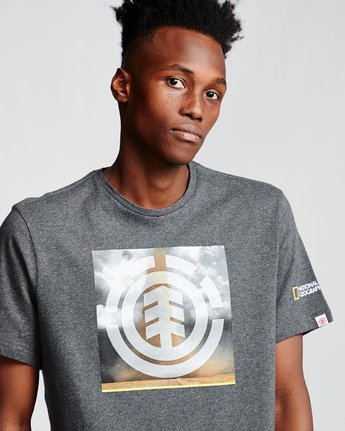 1 Combust Icon - T-Shirt Gray Q1SSG7ELF9 Element