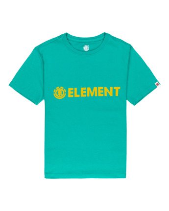 Blazin - Short Sleeve T-Shirt for Boys  Q2SSA3ELF9