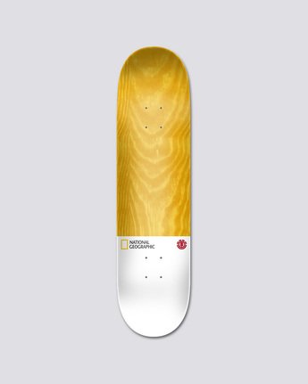 1 Nat Geo Greyson Shrk - Deck  Q4DCA3ELF9 Element