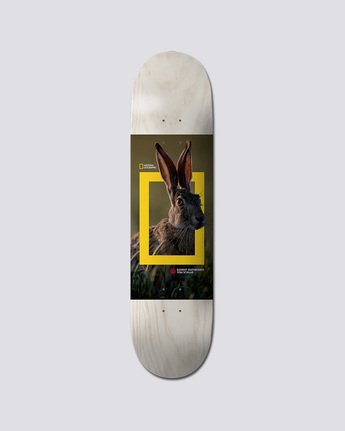 Nat Geo Schaar Hare - Deck  Q4DCA5ELF9