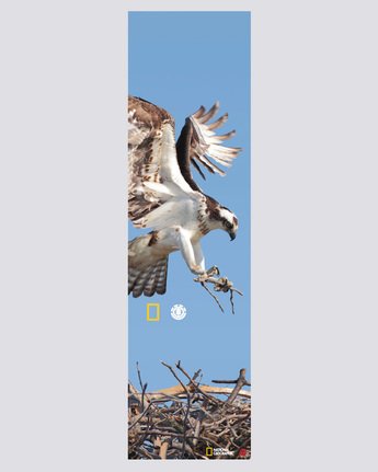 National Geographic Nat Geo Spirit Grip - Skate Accessories  S4AHA1ELP0