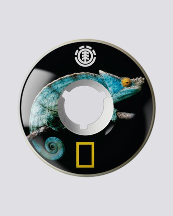 Nat Geo Iguana Filmer 62Mm - Skate Accessories  S4WHA3ELP0