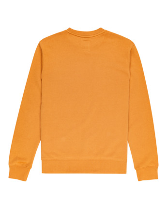 Blazin Chest - Sudadera Con Capucha Para Chicos 8-16 | Element