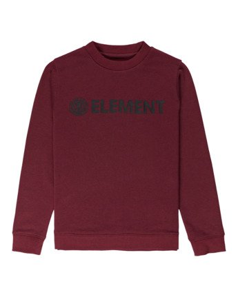 Blazin - Sweatshirt for Boys  U2CRA2ELF0