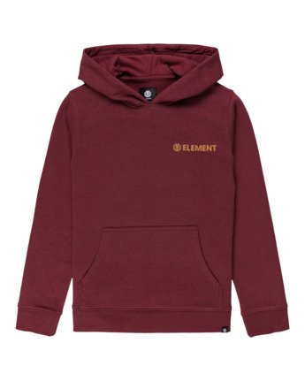 Blazin Chest - Hoodie for Boys  U2HOA4ELF0