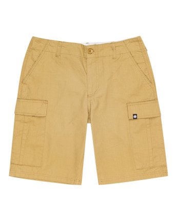 Legion 21" - Cargo Shorts for Men  W1WKC7ELP1