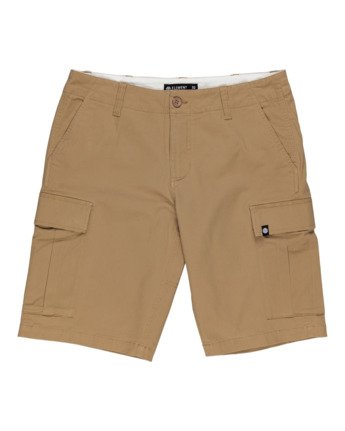 Legion 21" - Cargo Shorts for Men  W1WKC8ELP1