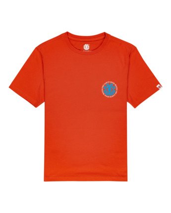 Seal - T-Shirt for Boys  W2SSD2ELP1