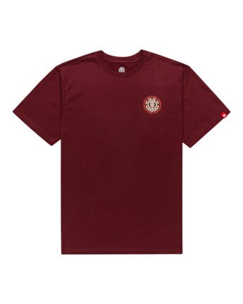 Seal - T-Shirt for Men  Z1SSI8ELF1