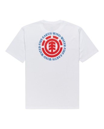 Seal - T-Shirt for Men  Z1SSI8ELF1