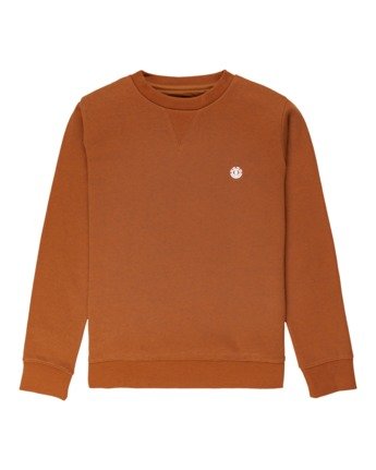 Cornell Classic - Sweatshirt for Boys  Z2CRB6ELF1