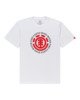 OPTIC WHITE (3904)
