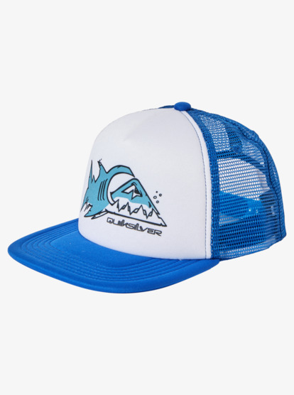 Boys 2024 quicksilver hat