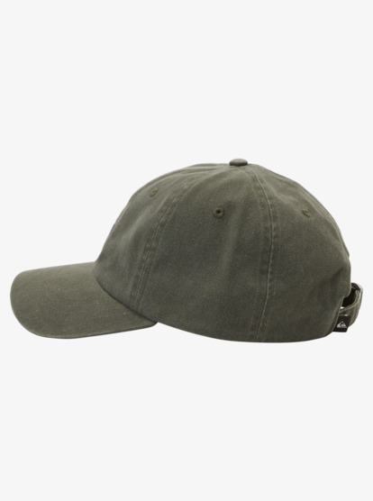 Mens Rad Splatter Dad Cap | Quiksilver