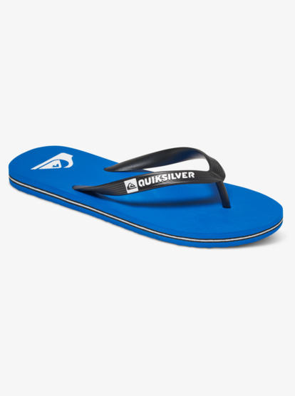 Mens quicksilver sales flip flops