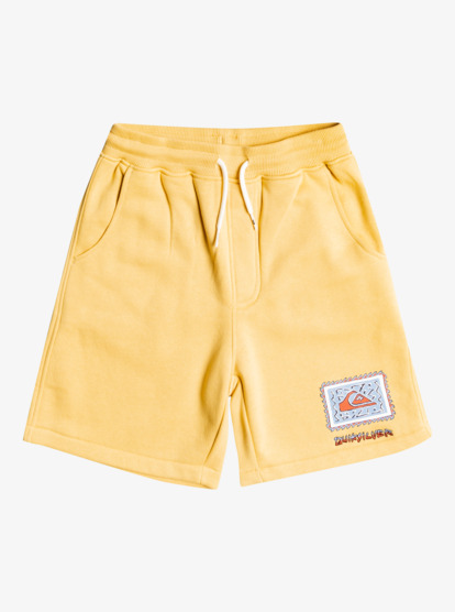 Stir Roots Up 17" - Tracksuit Shorts for Boys EQBFB03125