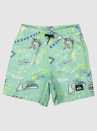 Boys store volley shorts