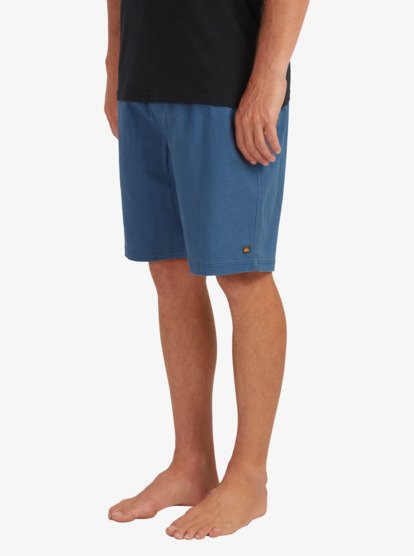 Quiksilver waterman men's hot sale cabo walk short