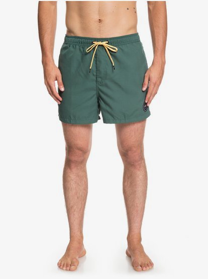 Everyday 15 Zwembroek Voor Heren Green Quiksilver quiksilver kopen in de aanbieding